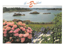 22-ILE DE BREHAT-N°3775-A/0049 - Ile De Bréhat