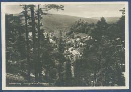 Schwarzburg Durchblick Vom Wildgatter Foto, Gelaufen 1940 (AK1108) - Rudolstadt