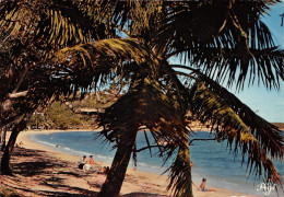 988-NOUVELLE CALEDONIE NOUMEA-N°3774-D/0267 - Nouvelle Calédonie