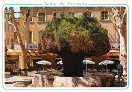 13-SALON DE PROVENCE-N°3774-D/0231 - Salon De Provence