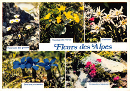 05-FLEURS DES ALPES-N°3775-C/0259 - Otros & Sin Clasificación