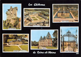 77-SEINE ET MARNE CHATEAUX-N°3775-C/0115 - Autres & Non Classés