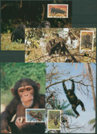 Sierra Leone 1983 WWF Affen 713/16 Maximumkarten (X30632) - Sierra Leona (1961-...)