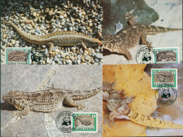 Kap Verde 1986 WWF Reptilien Echsen 500/03 Maximumkarten (X30642) - Isola Di Capo Verde