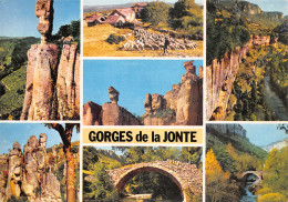 12-GORGES DE LA JONTE-N°3775-B/0085 - Altri & Non Classificati