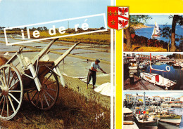 17-ILE DE RE-N°3775-A/0181 - Ile De Ré