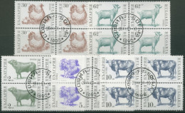 Bulgarien 1991 Haustiere: Henne, Bulle, Puter 3881/85 Viererblock Gestempelt - Usados