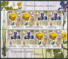 Weißrussland 2003 Blumen Trollblume Schwertlilie 490/91 K Postfrisch (C28372) - Wit-Rusland