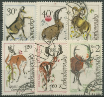 Tschechoslowakei 1963 Tiere Jagd Rothirsch, Mufflon, Gämse 1441/46 Gestempelt - Used Stamps