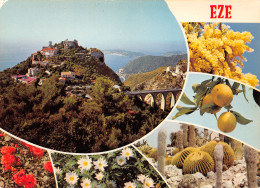 06-EZE-N°3775-D/0231 - Eze