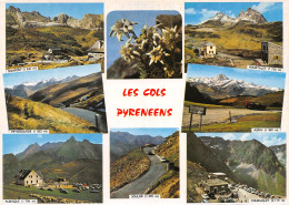 64-LES COLS DES PYRENEES-N°3775-D/0165 - Sonstige & Ohne Zuordnung