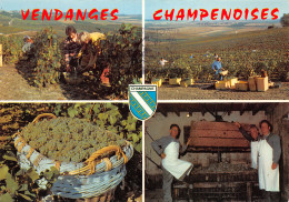 51-VENDANGES CHAMPENOISES-N°3775-D/0089 - Other & Unclassified