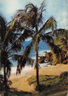 971-GUADELOUPE PLAGE DE FERRY-N°3776-B/0195 - Otros & Sin Clasificación