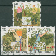 Liechtenstein 2003 Jahr Des Winzers Winzerarbeit Im Sommer 1316/18 Gestempelt - Used Stamps