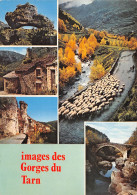 48-GORGES DU TARN-N°3776-B/0089 - Gorges Du Tarn