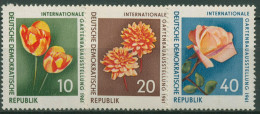 DDR 1961 Gartenbauausstellung IGA Erfurt Blumen 854/56 Postfrisch - Nuevos