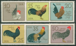 DDR 1979 Tiere Vögel Geflügelrassen 2394/99 Postfrisch - Unused Stamps