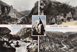 48-LES GORGES DU TARN-N°3776-D/0287 - Autres & Non Classés