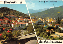 66-AMELIE LES BAINS-N°3777-D/0011 - Autres & Non Classés