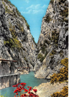 66-GORGES DU MONDONY-N°3777-D/0001 - Autres & Non Classés