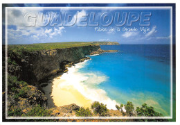 971-GUADELOUPE FALAISE DE LA GRANDE VIGIE-N°3777-C/0203 - Andere & Zonder Classificatie