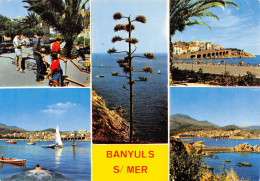 66-BANYULS SUR MER-N°3777-B/0087 - Banyuls Sur Mer