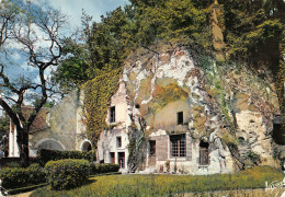 37-EN TOURAINE MAISONS TROGLODYTE-N°3777-D/0253 - Sonstige & Ohne Zuordnung