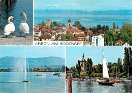 12889582 Arbon  TG Bodensee Schwaene  - Other & Unclassified