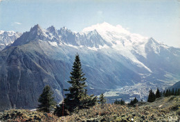 74-CHAMONIX-N°3778-C/0337 - Chamonix-Mont-Blanc