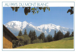 74-MASSIF DU MONT BLANC-N°3778-C/0289 - Other & Unclassified