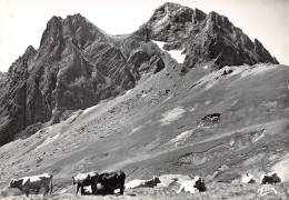 65-COL DU TOURMALET-N°3778-C/0171 - Autres & Non Classés