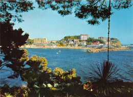 83-BANDOL-N°3778-C/0011 - Bandol