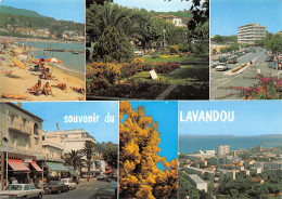 83-LE LAVANDOU-N°3778-B/0235 - Le Lavandou