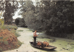 79-MARAIS POITEVIN-N°3778-B/0101 - Autres & Non Classés