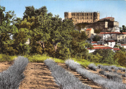 26-GRIGNAN-N°3779-A/0293 - Grignan