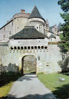 24-CHÂTEAU DE FENELON-N°3779-A/0127 - Sonstige & Ohne Zuordnung