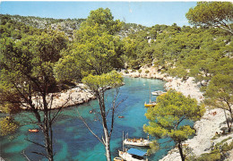 69-CALANQUE DE PORT PIN PRES DE CASSIS-N°3779-C/0277 - Andere & Zonder Classificatie