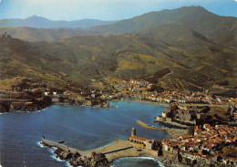 66-COLLIOURE-N°3779-C/0269 - Collioure