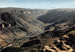 48-GORGES DU TARN-N°3779-B/0069 - Gorges Du Tarn