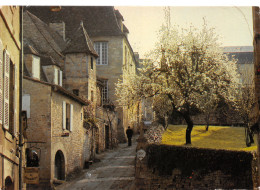 46-SARLAT EN PERIGORD-N°3779-D/0359 - Other & Unclassified