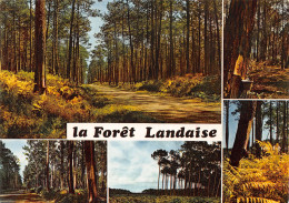 40-LES LANDES -N°3780-C/0371 - Sonstige & Ohne Zuordnung