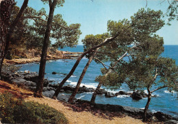 83-LA MEDITERRANEE PAYSAGE-N°3780-C/0207 - Andere & Zonder Classificatie