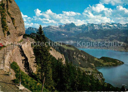 12880123 Vitznau Vierwaldstaettersee Rigi Felsenweg Urner Alpen Nidwaldner Alpen - Sonstige & Ohne Zuordnung