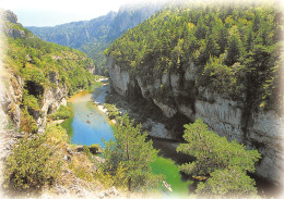 48-GORGES DU TARN-N°3781-A/0077 - Gorges Du Tarn