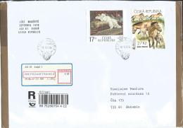 R Envelope Czech Republic Przewalski Horse'16 And Joint Issue With Croatia Woman On The Divan'02 - Horses