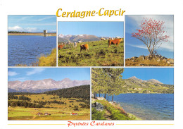 66-CERDAGNE CAPCIR-N°3781-D/0297 - Andere & Zonder Classificatie