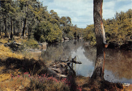 40-LES LANDES FORET-N°3781-D/0105 - Sonstige & Ohne Zuordnung