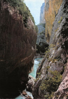 04-LES GORGES DU VERDON-N°3781-C/0107 - Sonstige & Ohne Zuordnung