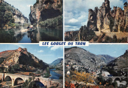 48-GORGES DU TARN-N°3781-B/0343 - Gorges Du Tarn