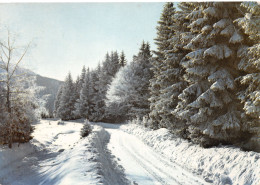 38-ROUTE DANS LES ALPES-N°3781-B/0229 - Sonstige & Ohne Zuordnung